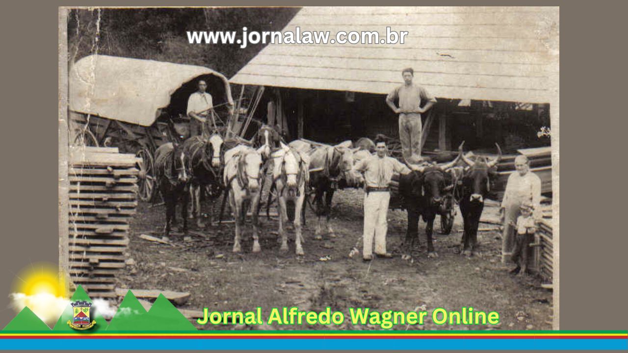 carro de boi e pessoas em volta foto antiga