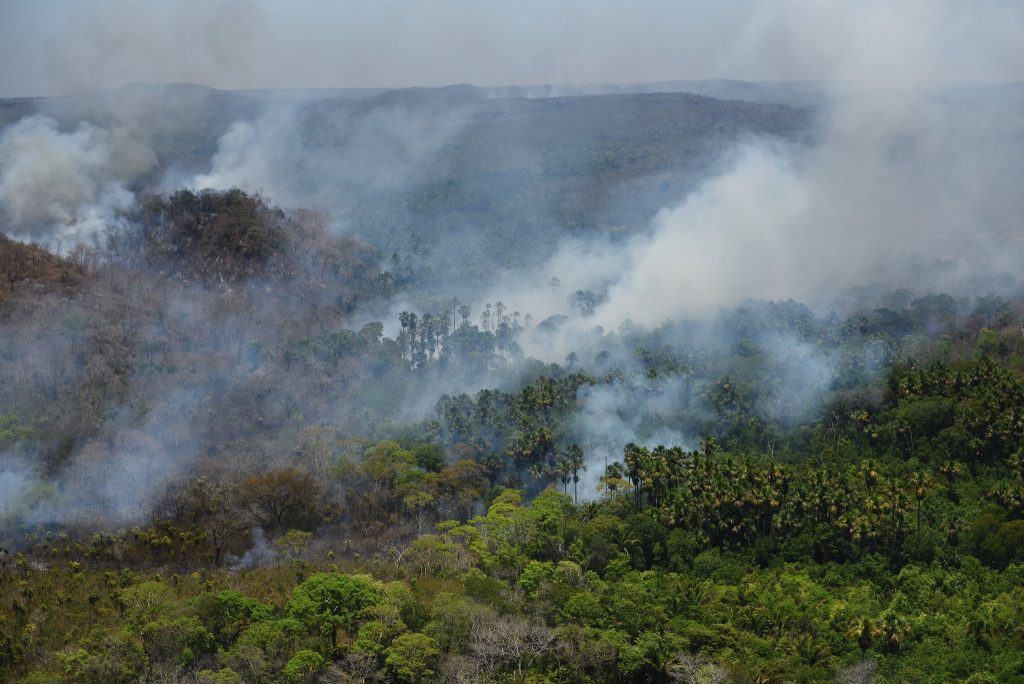 Combate a incêndio florestal na Terra Indígena Porquinhos, no Maranhão (Foto: Felipe Werneck/Ibama)