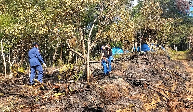Idoso morreu ao colocar fogo em terreno – Foto: CBMSC/Divulgação/ND
