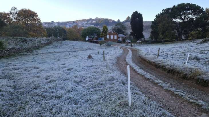 Vale do Caminho da Neve em São Joaquim — Foto: Mycchel Legnaghi / São Joaquim Online