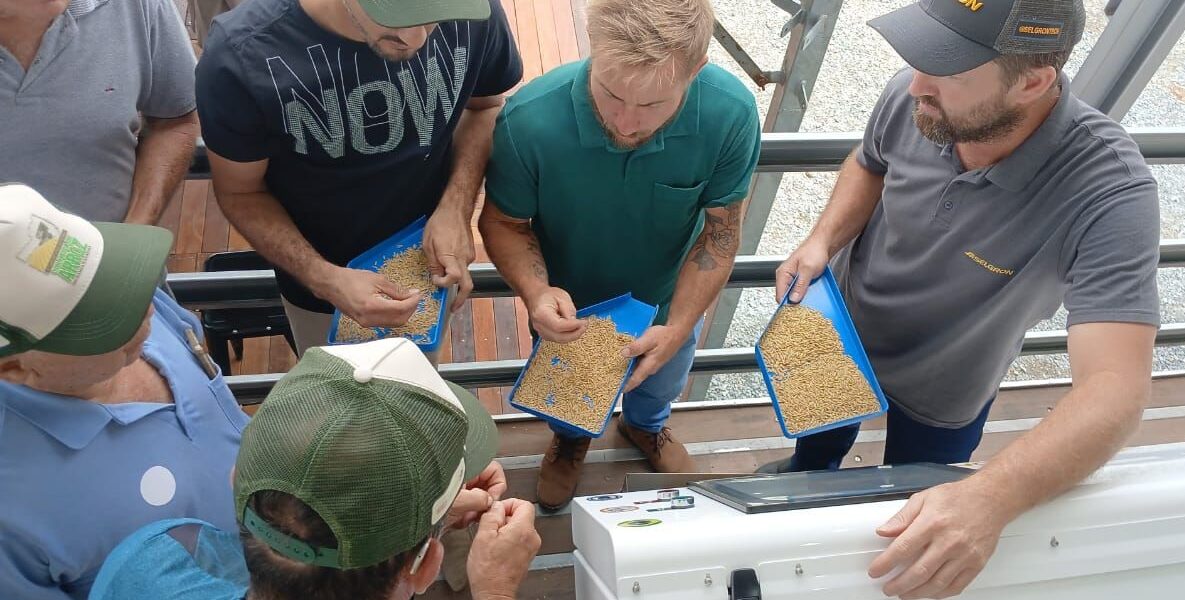 Divulgação Selgron A 8ª Abertura Oficial da Colheita do Arroz é realizada em São João do Itaperiú, no Norte de SC