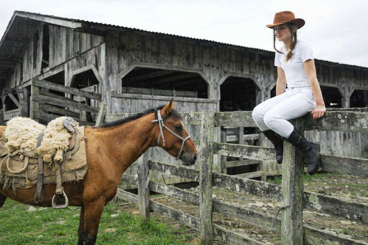 Cena Rural Pitoresca
