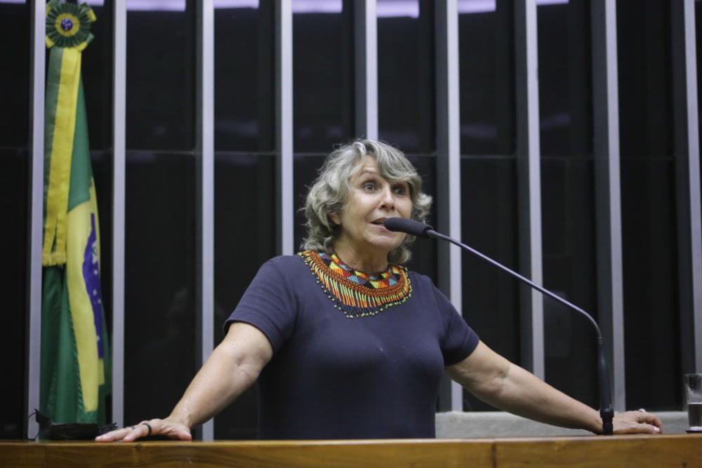 Deputada Erika Kokay (PT-DF) Paulo Sergio/Câmara dos Deputados