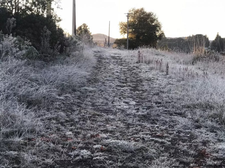 Amanhecer com geada em Urupema, na Serra catarinense, nesta sexta-feira (20) — Foto: Eduarda Demeneck/NSC TV