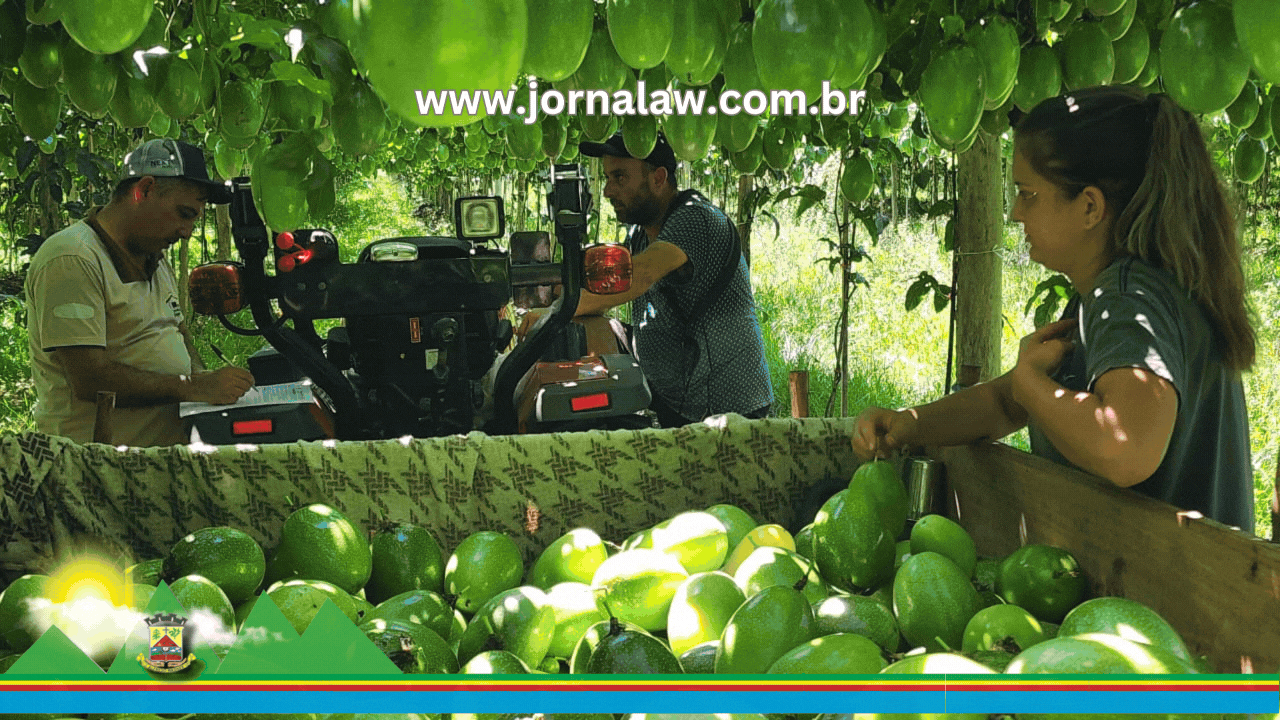 Sebrae e governo federal lançam projeto para gerar renda e emprego no campo