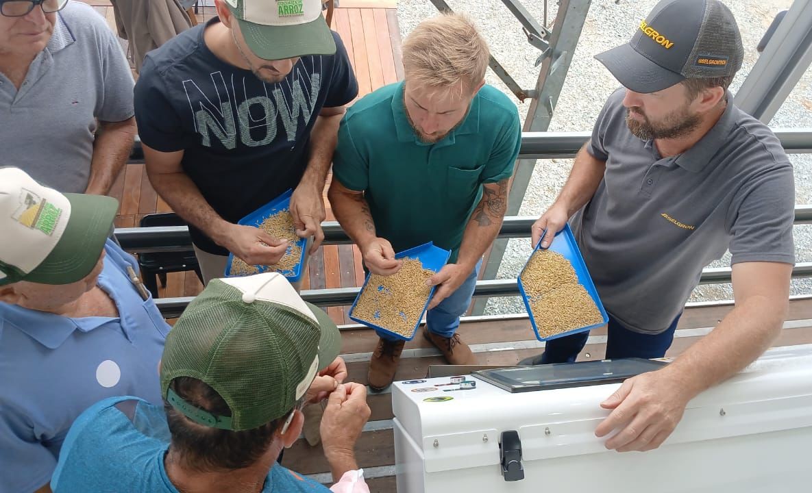 Divulgação Selgron A 8ª Abertura Oficial da Colheita do Arroz é realizada em São João do Itaperiú, no Norte de SC