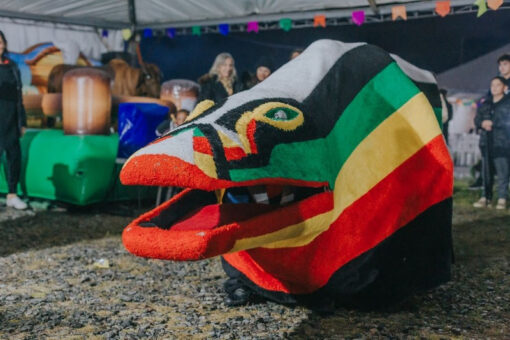 Boi de Mamão - Foto: Instituto Maratona Cultural